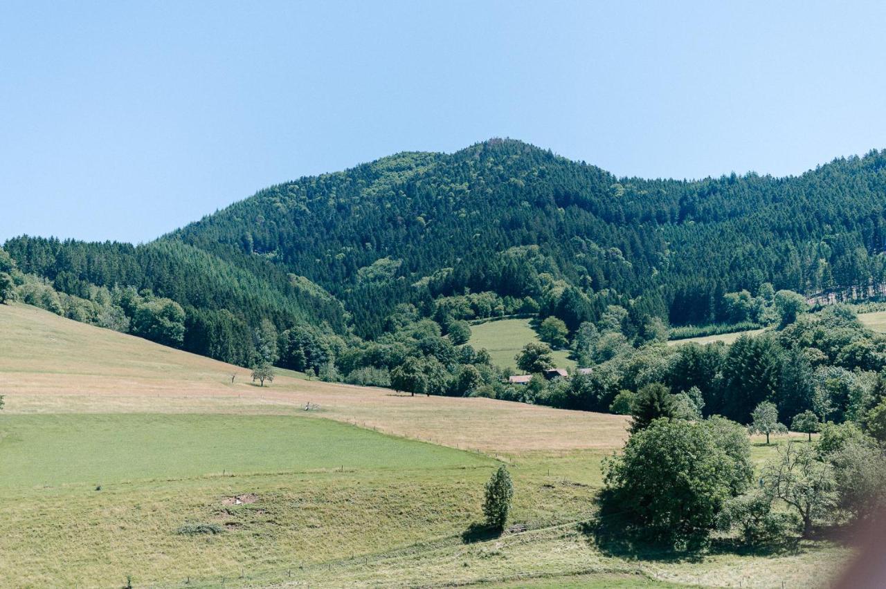 Moderne 2 Zi.-Fewo Blackforest Art Naehe Freiburg Simonswald Exterior photo